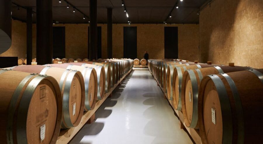 2-hours Amarone Wine Tour with Sommelier Wine Tastings - Key things I’d plan around