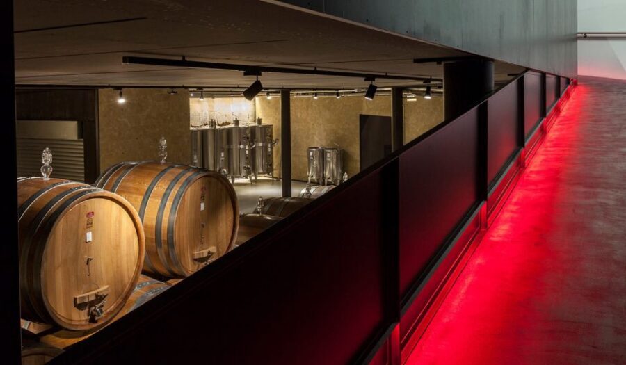 2-hours Amarone Wine Tour with Sommelier Wine Tastings - Amarone, Valpolicella, and the winemaking lessons you can use later