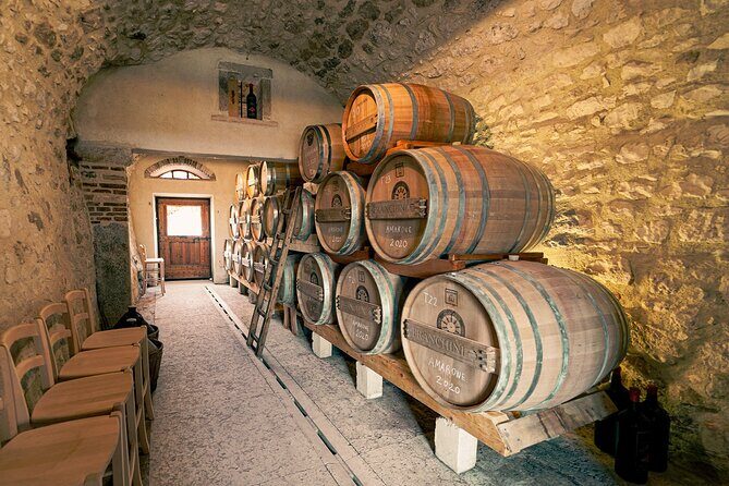 6 Wine Tasting in Valpolicella Classica: the cradle of Amarone - Vineyard views and the walking part you should expect