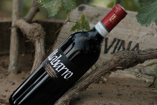 Amarone 2005 Wine Experience - Why organic Valpolicella tastes different here