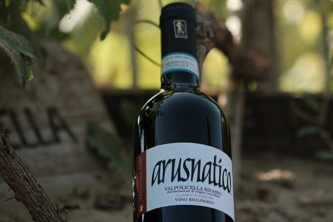 Amarone 2005 Wine Experience - Amarone Morar 2005: the star pour and how to experience it