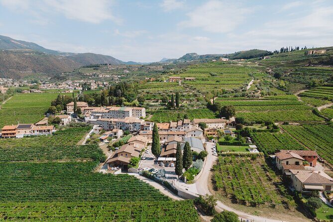Amarone 2005 Wine Experience - The cellar team: English explanations and real personality
