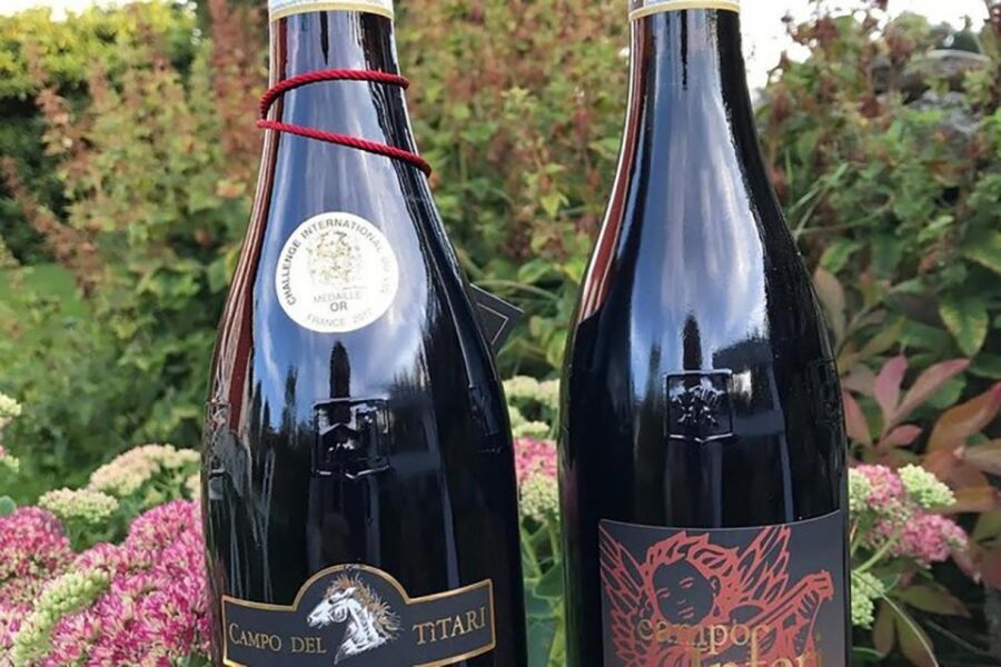 Amarone Wine Tasting Tour. Visit Verona. From Venice - Starting Point in Venice: Pullman Bar and the Blue Cap Detail