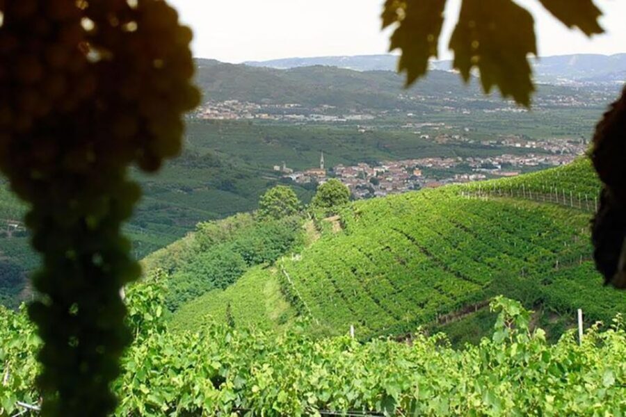 Amarone Wine Tasting Tour. Visit Verona. From Venice - Who This Tour Fits Best (and Who Might Prefer Something Else)