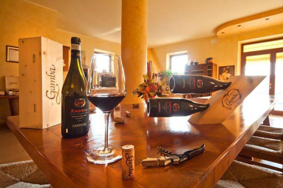 Amarone Wine Tasting Tour. Visit Verona. From Venice - Verona on Foot: Arena Views, Juliet’s House, and the Piazza Loop