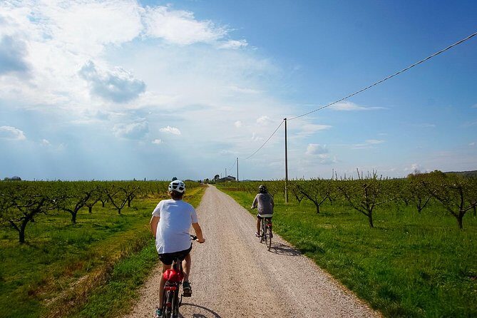 E-bike adventure among medieval castles and old villages - Key highlights you’ll actually care about