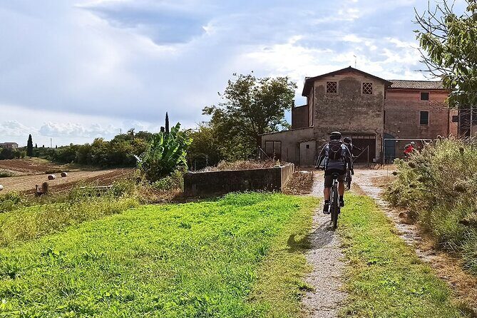 E-Bike Tour and Wine Tasting from Bardolino - The Winery Stop: One Tastings Session Done Right