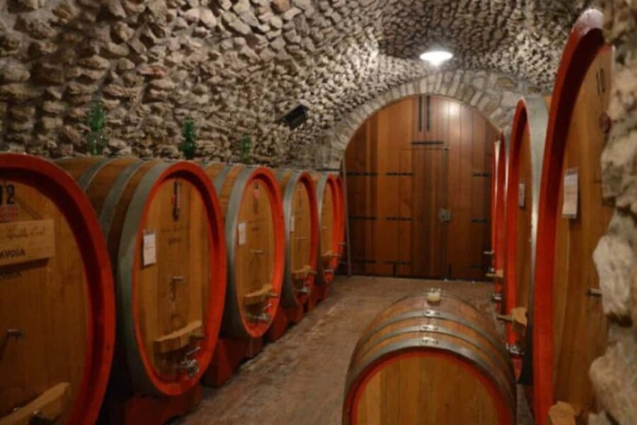 From Verona: Amarone Half-Day Wine Tasting Tour - What you learn about Amarone and Recioto (without getting lost in jargon)