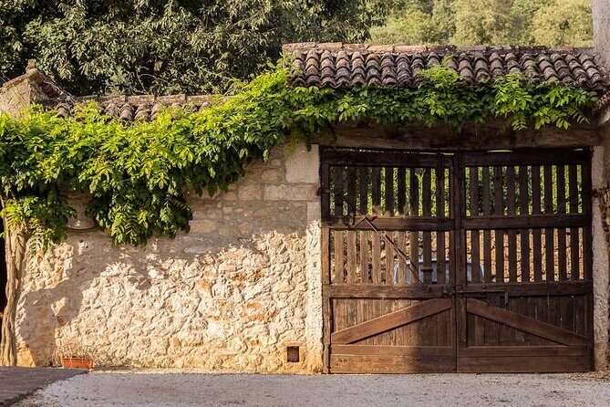 From Verona: Prosecco & Classic method sparkling wine tour, with light lunch - Soave Borgo: your quick medieval payoff