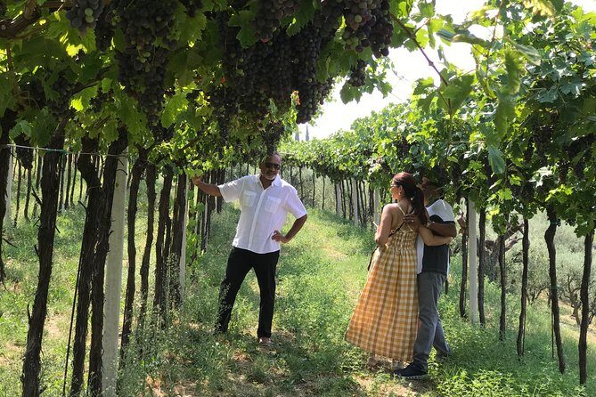 From Verona: Prosecco & Classic method sparkling wine tour, with light lunch - Tour timing and group size: how the day flows