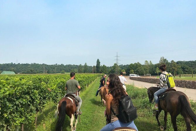 Horseback riding and wine tasting - Key Highlights at a Glance