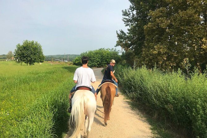 Horseback riding and wine tasting - Why This Horse-and-Wine Combo Works in Verona