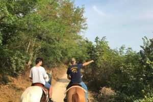 Horseback riding and wine tasting - Meeting at Villafranca di Verona and Getting Set for the Ride