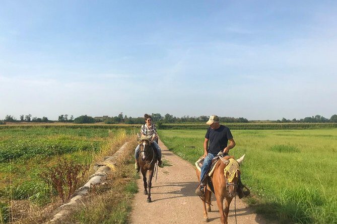 Horseback riding and wine tasting - The Vineyard Ride: About an Hour Toward Custoza