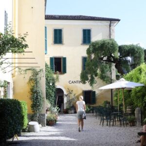 Lazise: Historical Center Wine Tasting Tour - The tasting flight: whites, Bardolino, then Syrah, Così, and Ettore