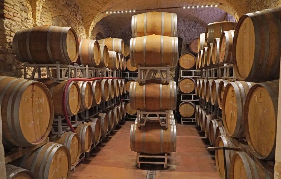 Lazise: Historical Center Wine Tasting Tour - Who this tour is best for (and who should skip)