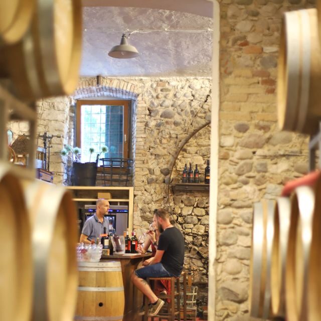 Lazise: Historical Center Wine Tasting Tour - Should you book the Lazise Historical Center Wine Tasting Tour?