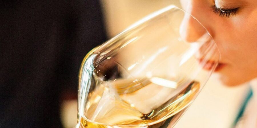 Lugana Wine Tour With Private Panoramic Boat on Lake Garda - Booking Notes: What to Expect When Things Don’t Go Perfect