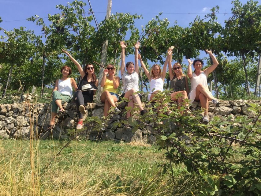 Marano di Valpolicella: DOP Olive Oil Tasting Experience - Key highlights you should care about