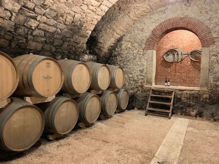Marano di Valpolicella: DOP Olive Oil Tasting Experience - The olive oil tasting you actually want to talk about afterward