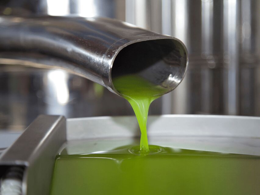 Olive Mill Tour and Tasting in the Verona Countryside - Inside a Frantoio 4.0 mill: production, quality, and real machinery