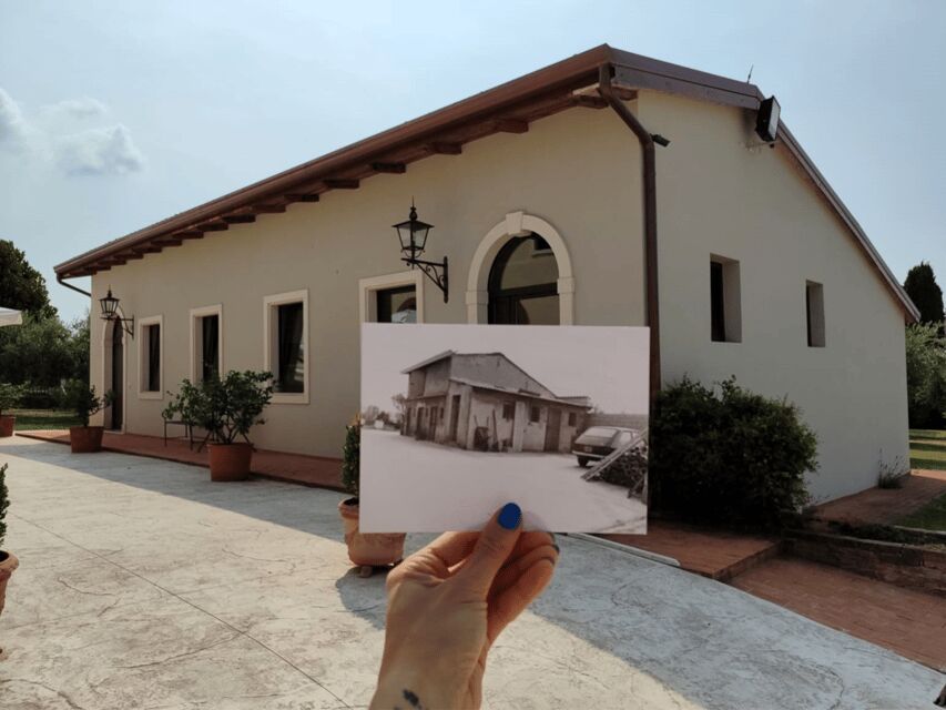 Olive Mill Tour and Tasting in the Verona Countryside - The Bonamini Oil Museum: old methods beside new tech