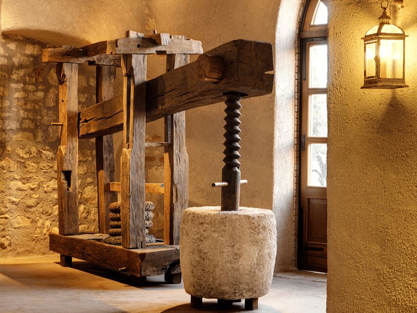 Olive Mill Tour and Tasting in the Verona Countryside - Campo di Casa: the experimental grove you walk through