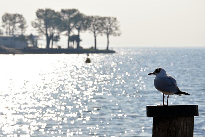 Pagus Wine Tours® - Sirmione by boat and Amarone - Full day tour - Start at Pagus Wine Tours: the Store Stop That Actually Helps