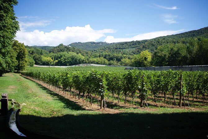 The Amarone Chateau guided tour and tasting in Valpolicella - Tenuta Santa Maria: villa rooms and gardens that set the tone