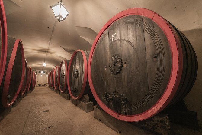 The Amarone Chateau guided tour and tasting in Valpolicella - Price of $43.45: what you’re paying for in real life