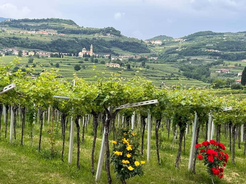The grand tour of Amarone: 2 wineries with delicious lunch - Lunch in a 15th-Century Cellar: Where Food Becomes Part of the Story