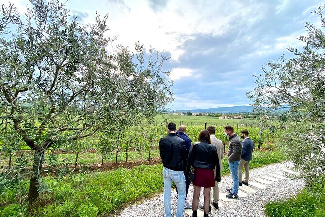 The Grand tour of Valpolicella: 2 Wineries, Lunch & Amarone focus - The Amarone DOCG Tasting: How to Make This Flight Work for You