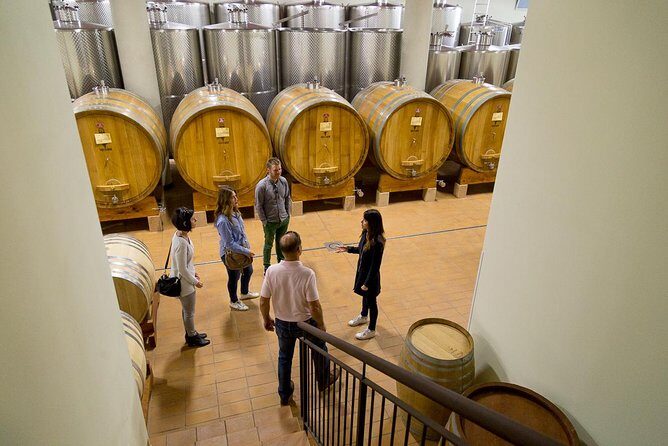 The Valpolicella food & wine driving tour: cheese factory+ winery - Amarone production explained: appassimento meets your glass