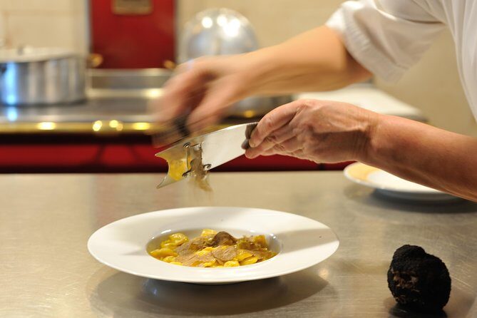 Truffle hunting and lunch experience in a restaurant - The woods lesson: plants, life cycles, and the dog’s working rhythm
