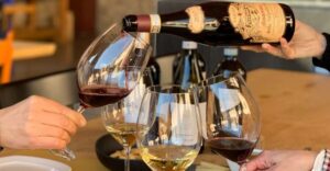 Valpolicella: 1.5-Hour Guided Winery Tour with Wine Tasting - Walking Through a High-End Estate (Without Pretending It’s a Museum)