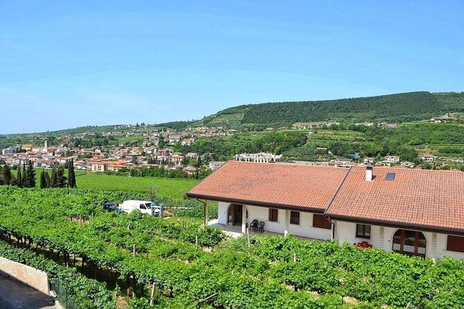 Valpolicella - The wine paradise - Price and value: what $325.11 buys for a group of up to 3