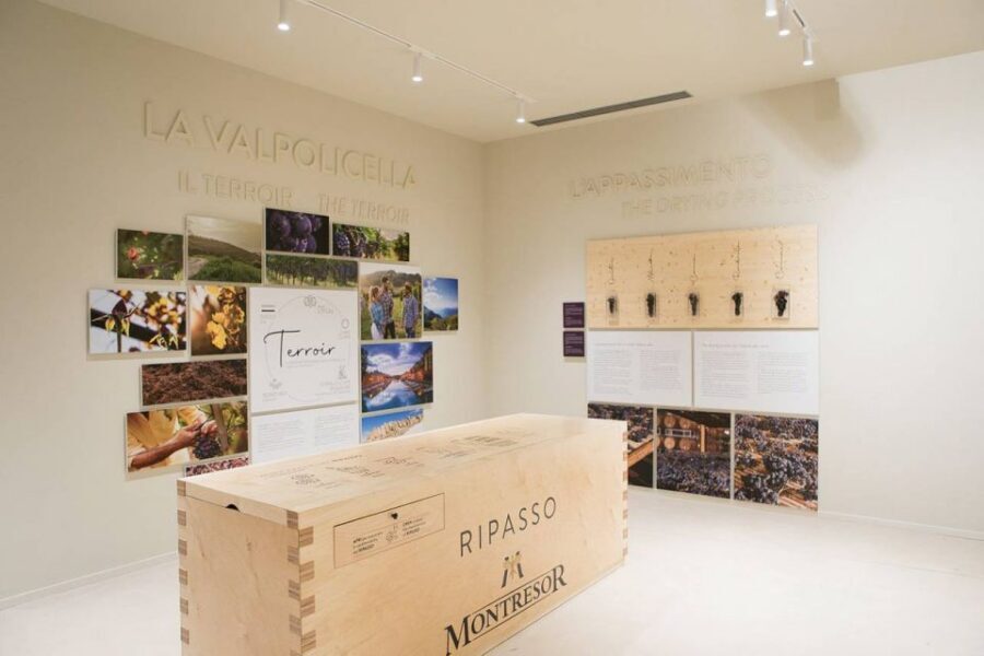 Valpolicella: Wine experience Valpolicella in a glass - Wine museum time: turning background into better tasting