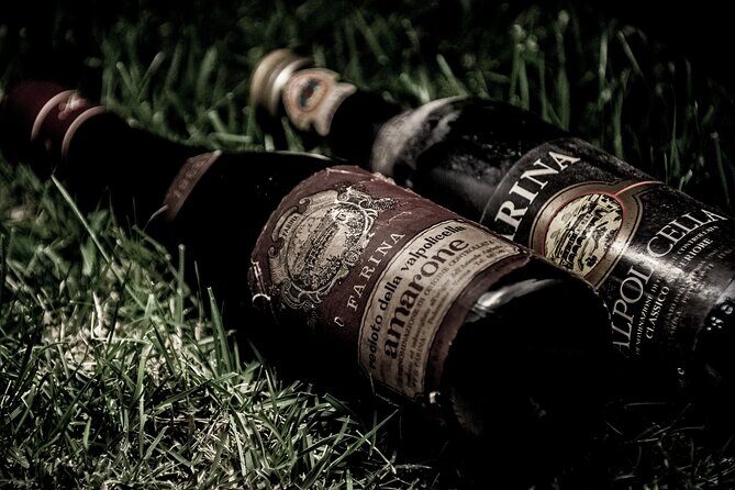 Verona area: Wine Tasting Experience in Valpolicella - Cured meats and cheese pairing that actually feels local