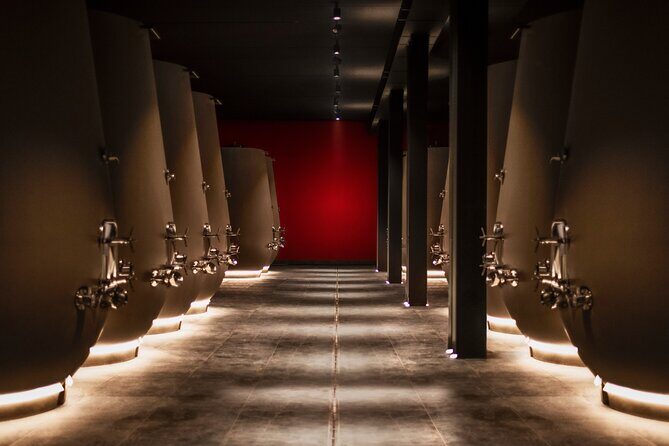 Verona area: Wine Tasting Experience in Valpolicella - Price and value: what $42.14 buys you in the real world