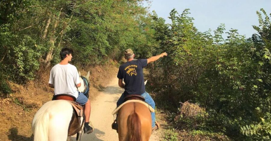 Verona: Horseback Riding and Wine Tasting Experience - Quick takeaways