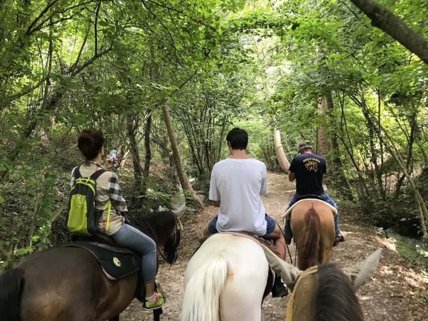 Verona: Horseback Riding and Wine Tasting Experience - Verona countryside from the saddle