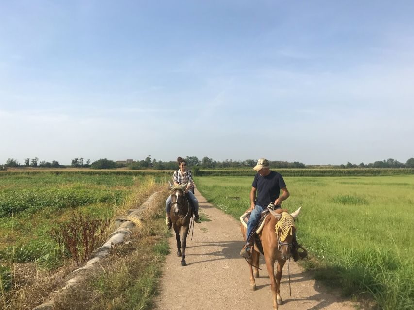 Verona: Horseback Riding and Wine Tasting Experience - Wine tasting with cheese and salami (how the pairing works)