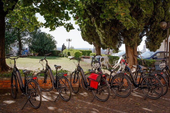 Verona Panoramic E-Bike tour with Lunch - Old town highlights: San Zeno and Piazza delle Erbe