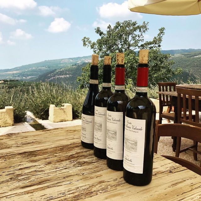 Verona: Vineyard and Winery Tour with Wine Tasting - The tasting: Valpolicella, Ripasso, and Amarone with antipasti on the terrace
