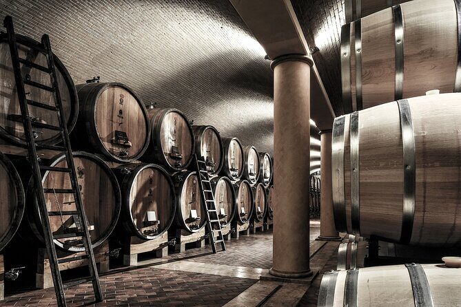 Vineyard Tour with Light Lunch in Valpolicella - Lunch Pairings That Actually Make Sense
